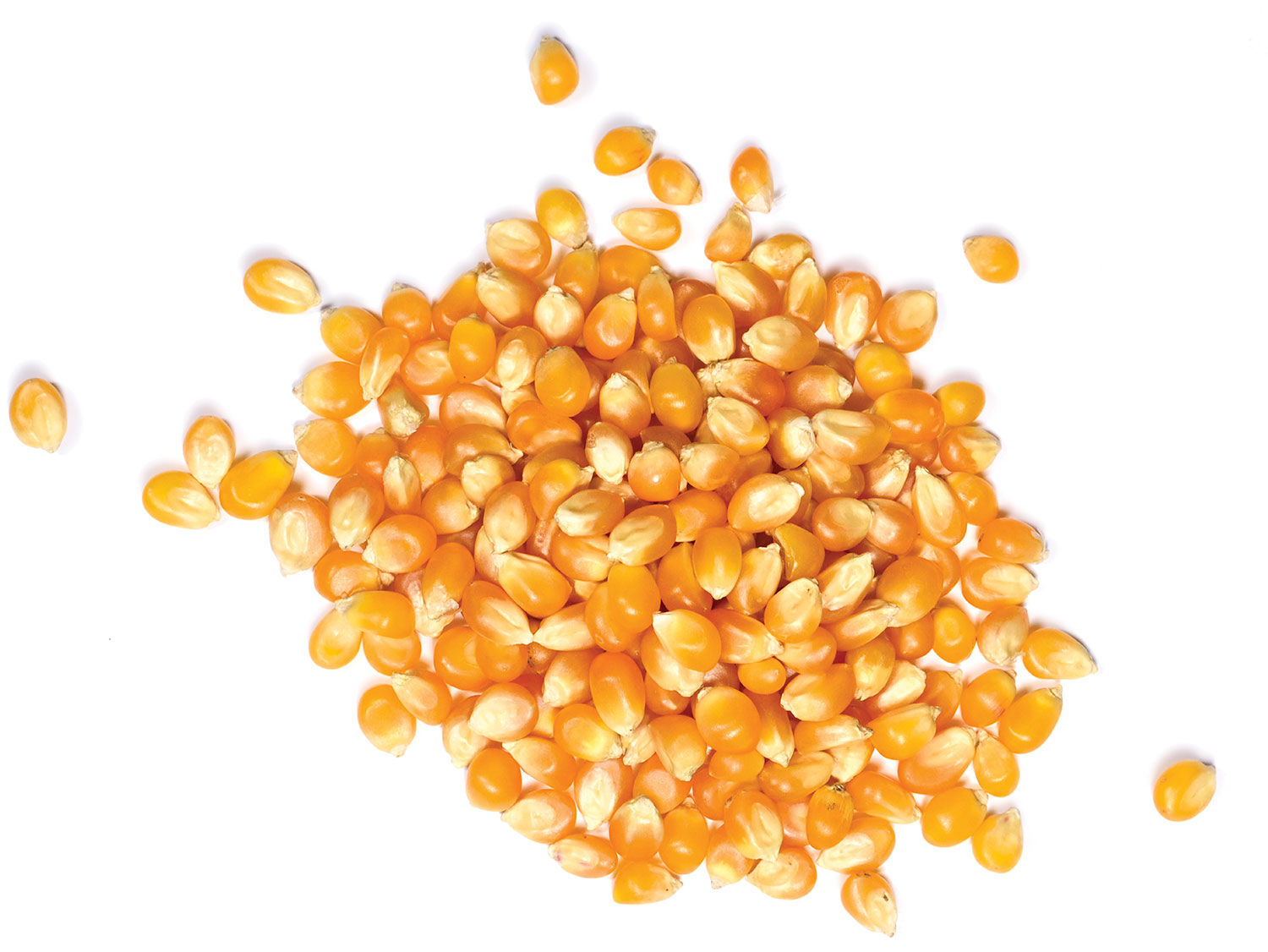 Popcorn